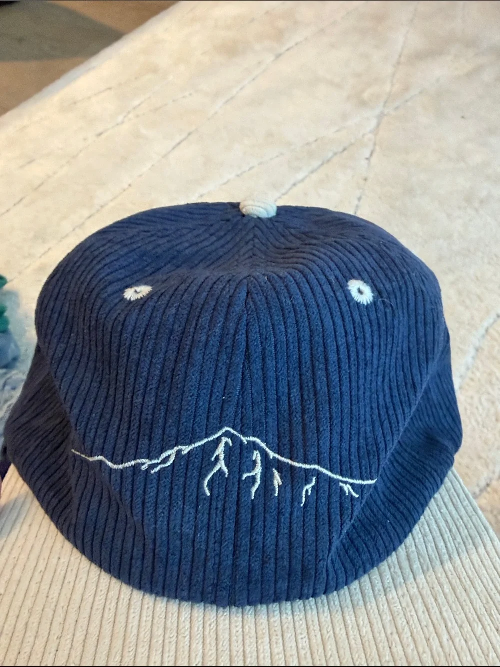 Blue Bison Utah Ski Mountain Hat